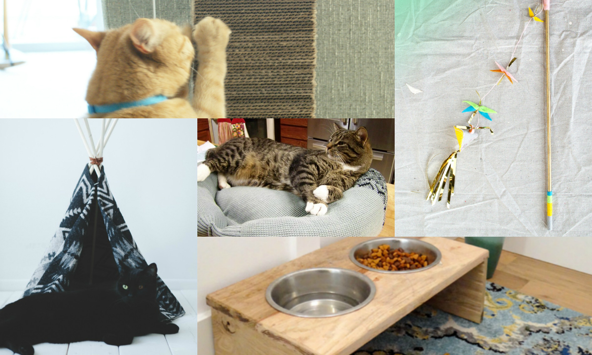5 Purrfect Diy Projects For Cat Lovers Diy Thought