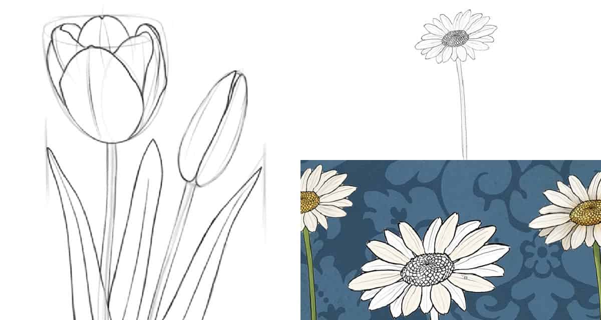 To draw a sketch daisy how 