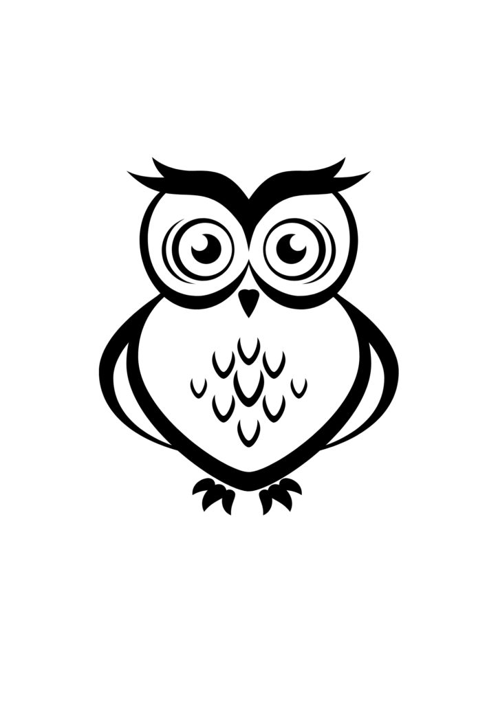 nature-art-owls-diy-thought
